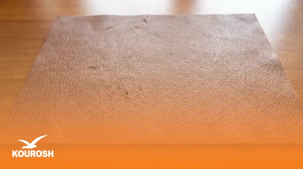 بررسی بافت و الگوی سطح چرم